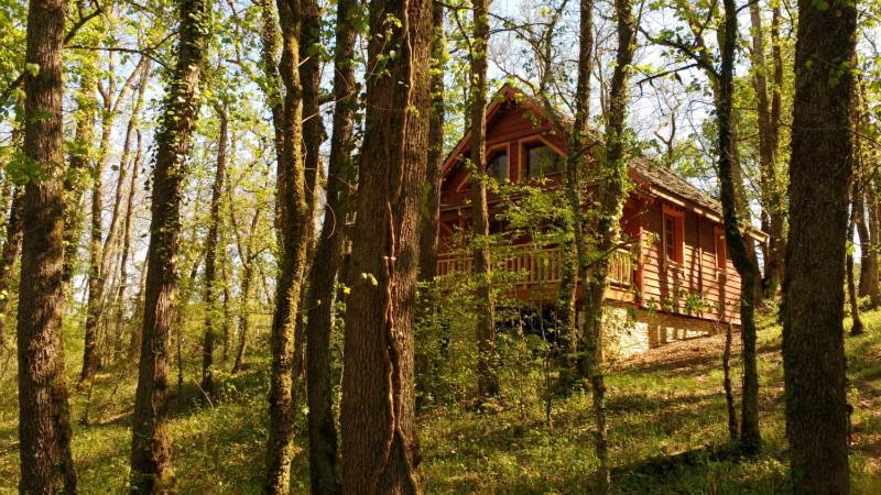 Le Nid De L'ecureuil * Lavercantière